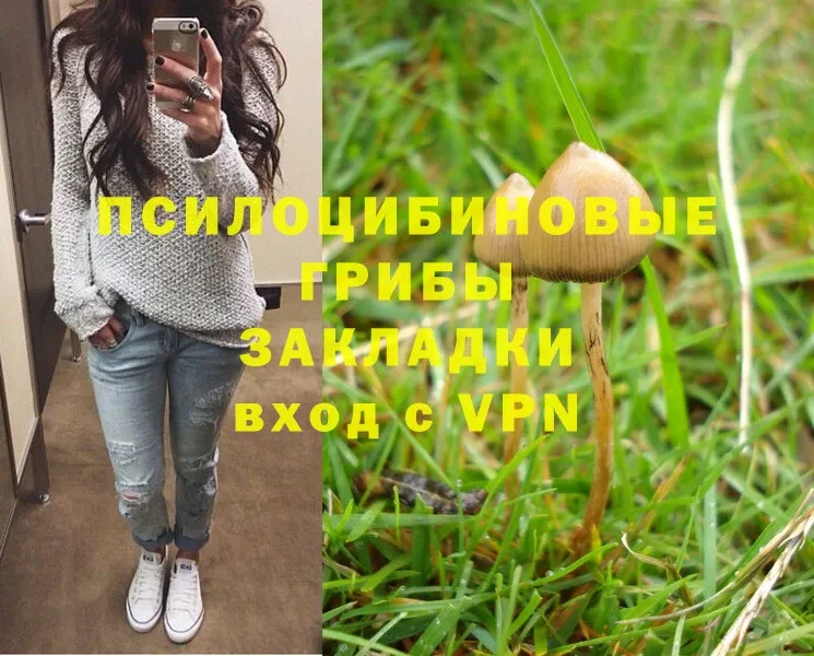 Псилоцибиновые грибы Psilocybe  цены   сайты даркнета состав  Лосино-Петровский 